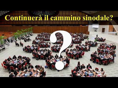 Will the synodal journey continue?