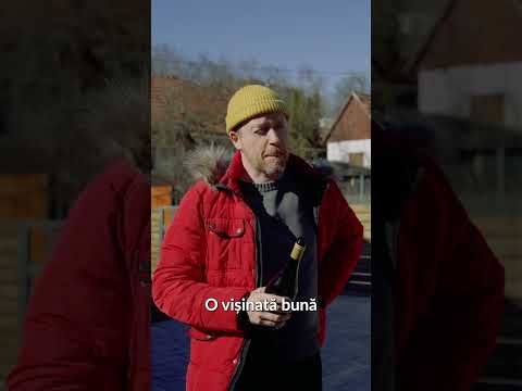 Ce ducem la cabană? | Epic Show