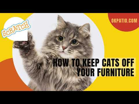 YouTube video about: How to keep cats off outside furniture?