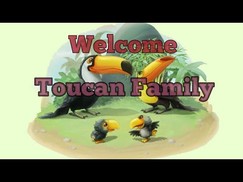 Toucans Enclosure Completed