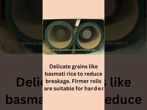 Rice Rubber Roll
