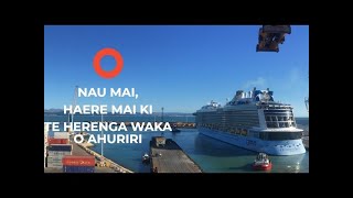 Keeping Up With the Kororā - Camera 1 live webcam
