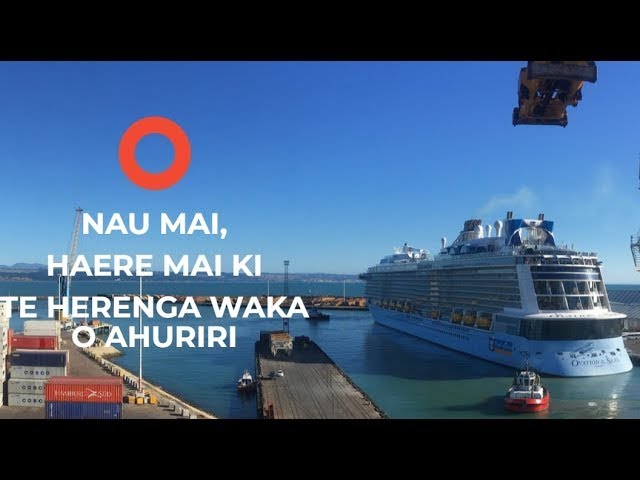 Live webcam view of Napier Port Kororā Nest Cam