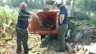 preview picture of video 'RBS Treeworks - Tree surgeon in Market Harborough'