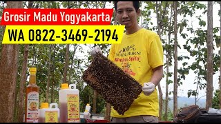 Download lagu WA 0822-3469-2194 DISTRIBUTOR MADU ASLI MURNI YOGYAKARTA - JUAL HARGA GROSIR MURAH mp3