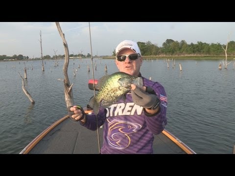 reelfoot river reef fishing report reelfoot bay reef fishing report