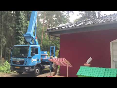 BAUMFÄLLUNG MIT HUBSTEIGER