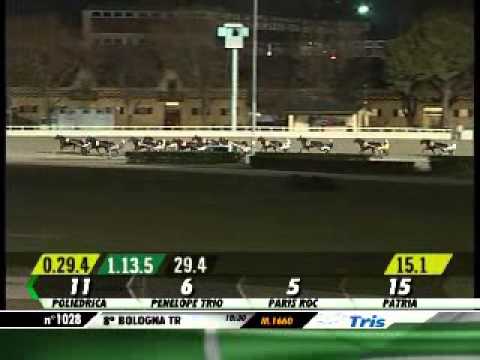 07/03/2013, Bologna , Premio Eros Martelli Tris.