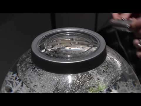 Watch Video on YouTube