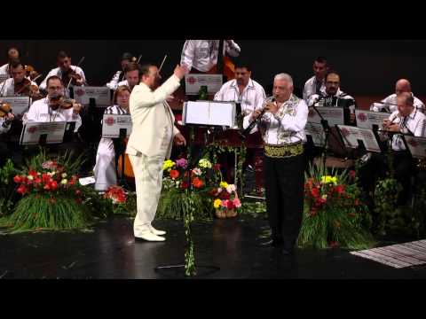 Dorel Sparios  - taragot 3