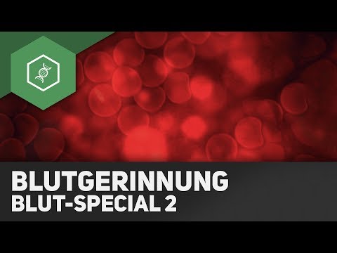 Die Lebenserwartung für Prostatakrebs im Stadium 2 Miramistin Anweisung für Prostatitis