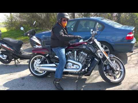 Rare Harley Davidson By Porsche