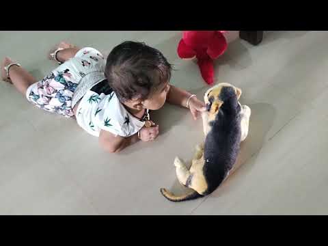 Soujanya playing with Dog doll