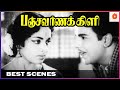 கே ஆர் விஜயாவின் மிக சிறந்த படம் Panchavarna K