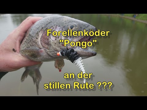 Forellenköder &quotPongo&quot an der Pose
