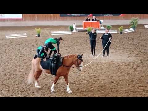 CVN Volteggio 2024 - cat. L 2° fascia - 4° Ippogrifo