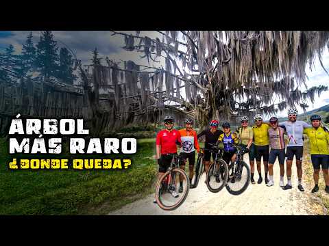 De Balsillas a Algeciras en MTB | Del Caquetá al Huila y el Árbol barbudo