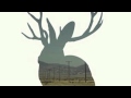 Miike Snow - Pretender 