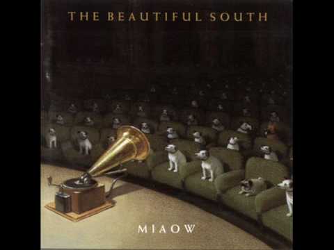 download lagu mp3 mp4 Beautiful South Miaow, download lagu Beautiful South Miaow gratis, unduh video klip Beautiful South Miaow