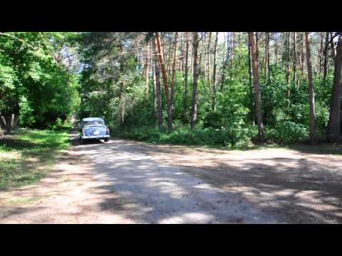 Wolga GAZ - M21 Baujahr 1960 mit dem Hirsch