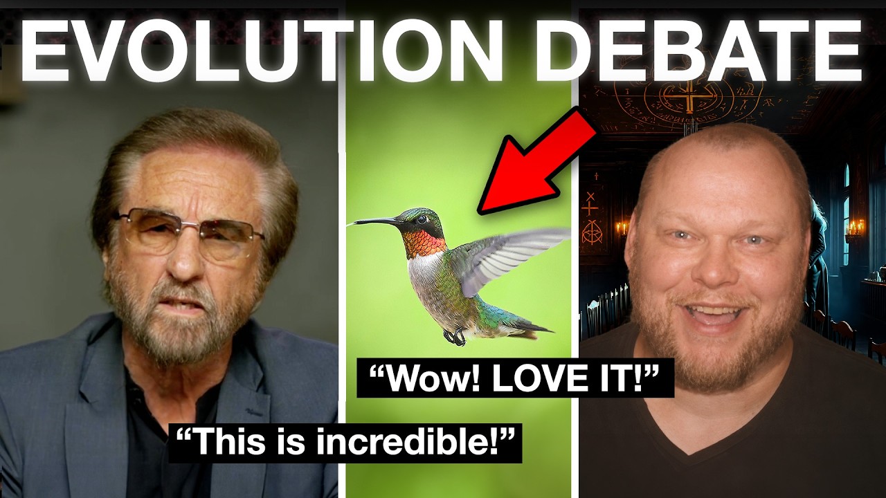 Watch a Hummingbird DESTROY Evolution