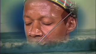 Laraaji: "Celestrana" 6/9/86 episode