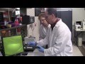 Detecting Malaria With A Cell Phone