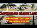 Panimbang Banjir Lagi Rumah Warga Dan Ribuan Hektar Tanaman Padi Terendam