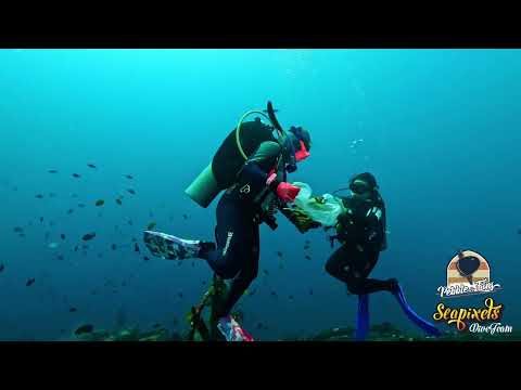 Shallow Water Narcosis as demonstrated by Pagan Chee