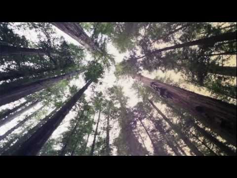 WWF: Save as .wwf