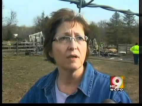 Three horses die in barn fire