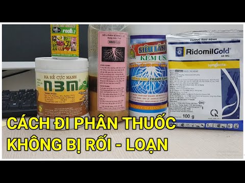 🔴 QBS22178 - CÁCH ĐI PHÂN THUỐC CHO CÂY MAI VÀNG KHÔNG BỊ RỐI | CÁCH BÓN PHÂN THUỐC CHO CÂY MAI VÀNG
