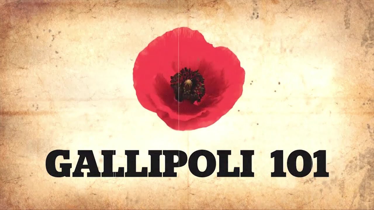 Gallipoli 101 | The Animated Guide