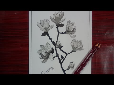 how to draw Magnolia flower| easy flower drawing tutorial| flower drawing