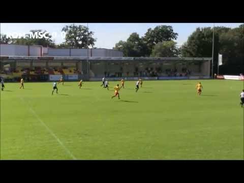 Samenvatting Rohda Raalte - MSC Meppel