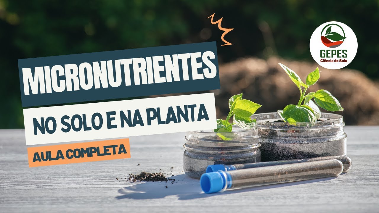 Dinâmica dos micronutrientes no sistema solo-planta