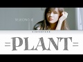세정 SEJEONG 039 화분 Plant 039 Color C 세정 SEJEONG 039 화분 Plant 039 Color C