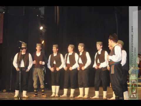 Srpski ansambl Smilje Valjevo 2010.wmv