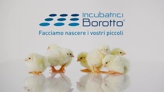 preview picture of video 'Video Istituzionale di prodotto - Borotto'