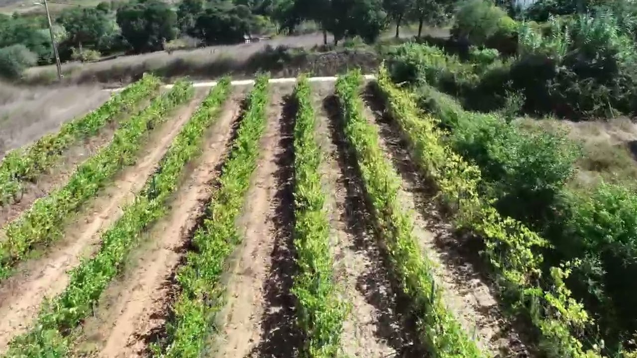 Vídeo do imóvel