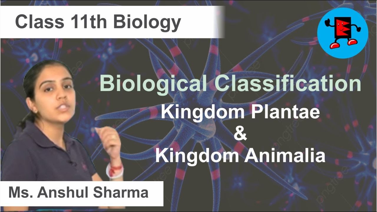 CBSE Class 11 Biology Biological Classification Kingdom Plantae & Kingdom Animalia |Extraminds