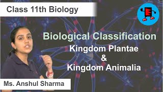 CBSE Class 11 Biology Biological Classification Kingdom Plantae & Kingdom Animalia |Extraminds