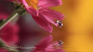 Enya - It&#39;s in the Rain - (Subtitulada en Español)