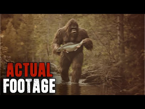Top 13 CREEPIEST Bigfoot Videos EVER 2024