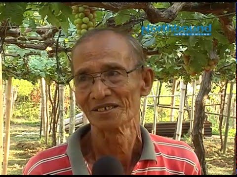 Parehong nawala Zatravkin Paano sa mawala timbang na may diyabetis uri 1