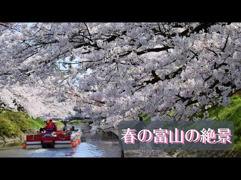 松川遊覧船 | スポット・体験 | 【公式】富山県の観光/旅行サイト「とやま観光ナビ」