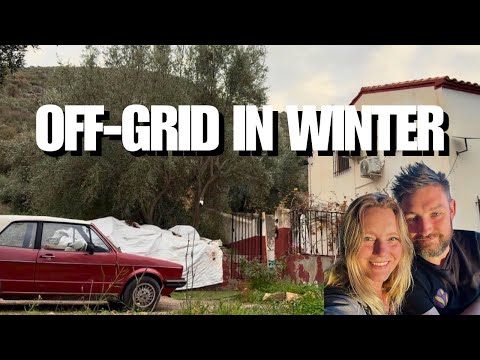 Off-Grid Living in Winter Spain | Grapevine Drama, Low Solar & Olive Harvest Countdown