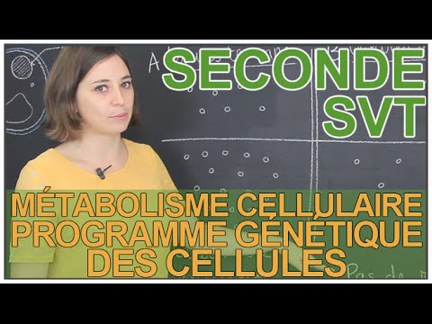 Cellular metabolism: the genetic program of cells - SVT Seconde - Les Bons Profs