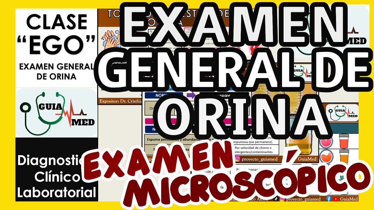 EXAMEN GENERAL DE ORINA MICROSCÓPICO INTERPRETACIÓN | GuiaMed