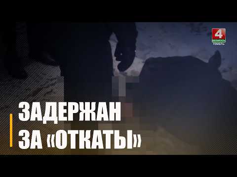 При получении взятки в 10 000 рублей задержали директора гомельской строительной организации видео